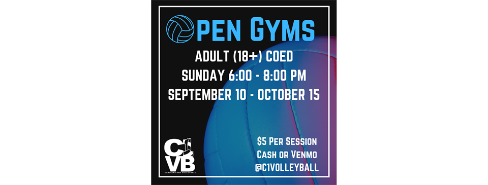 Adult Open Gyms